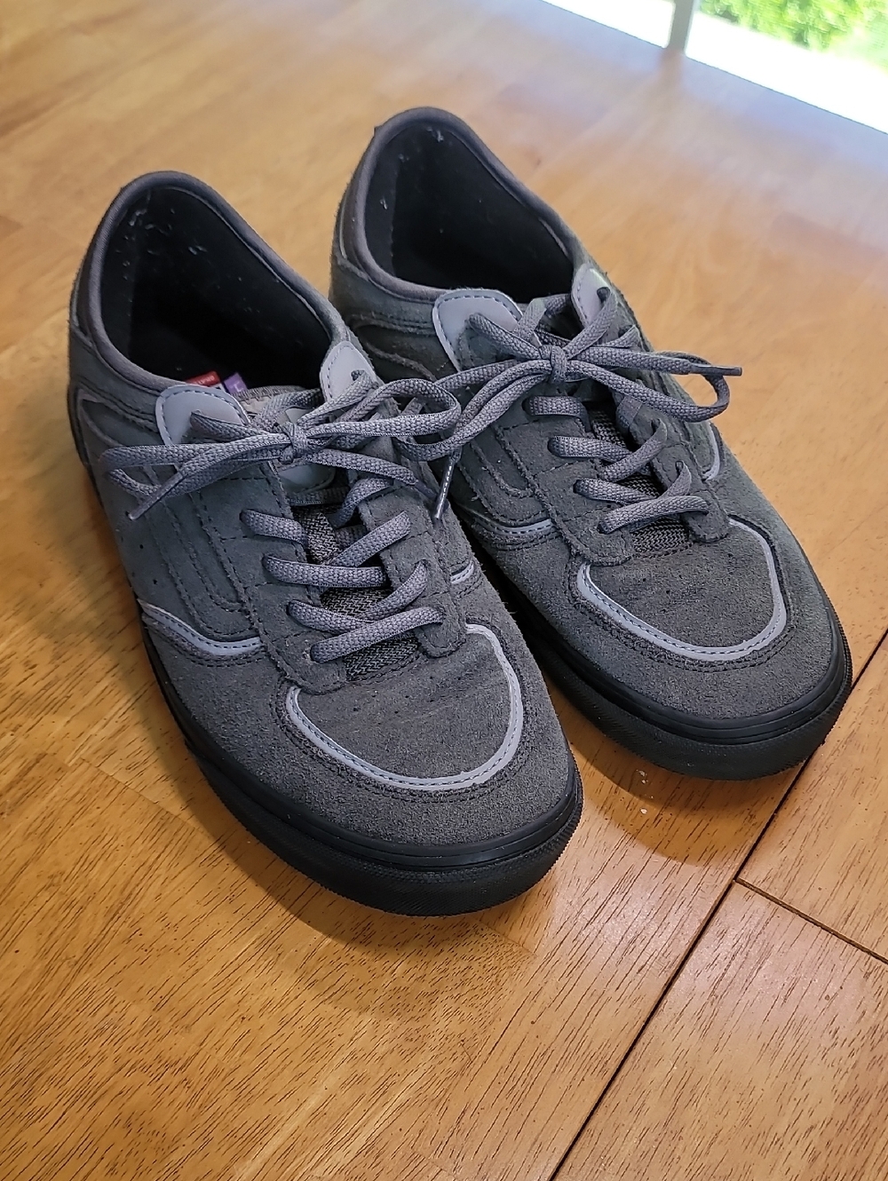Vans Skate Rowley Suede